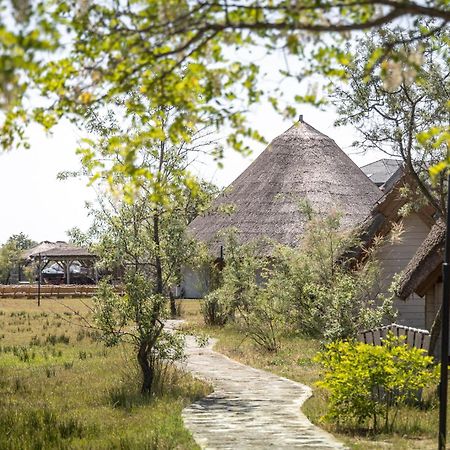Dolphin Camping Sfantu Gheorghe  Ngoại thất bức ảnh