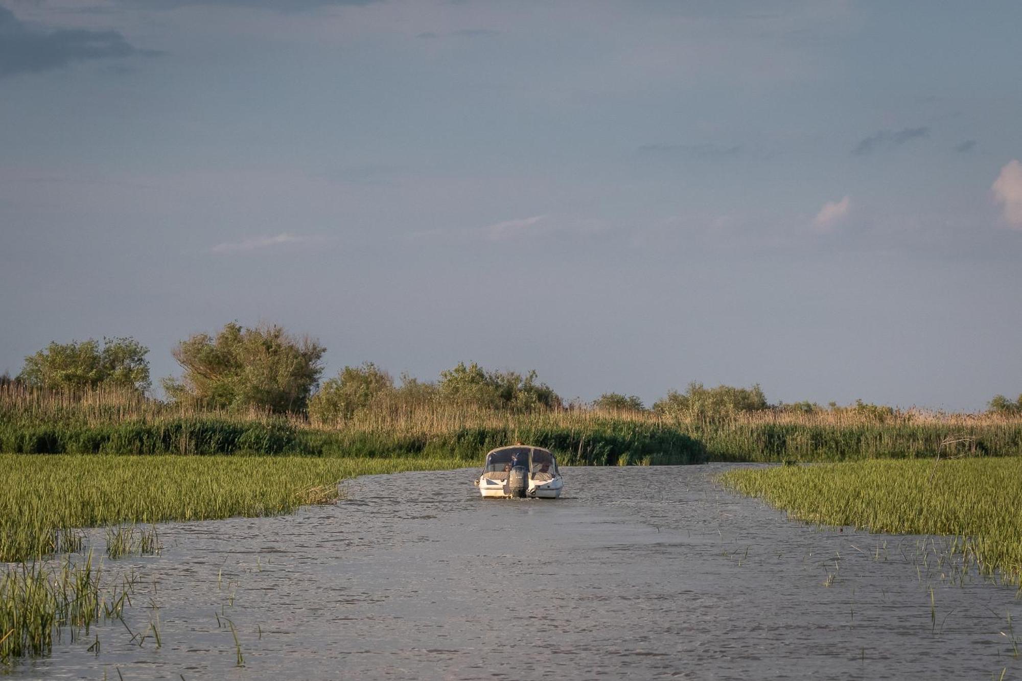 Dolphin Camping Sfantu Gheorghe  Ngoại thất bức ảnh