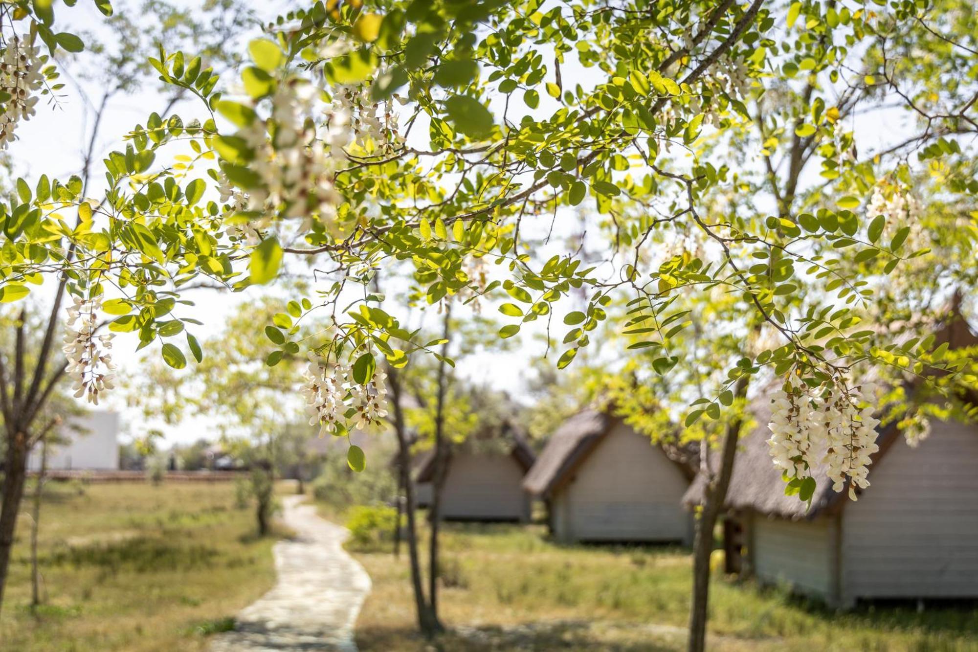 Dolphin Camping Sfantu Gheorghe  Ngoại thất bức ảnh
